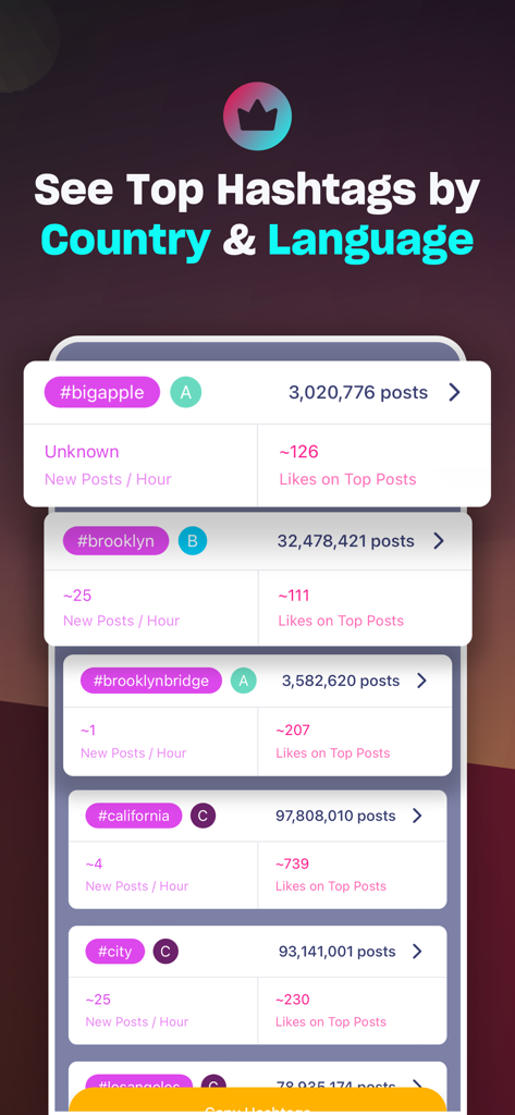 App Hashtag Expert che mostra analisi degli hashtag principali per paese e lingua
