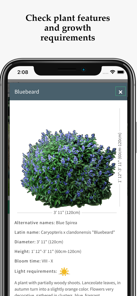 Mobile app screen displaying detailed plant features and growth requirements for a Bluebeard shrub.