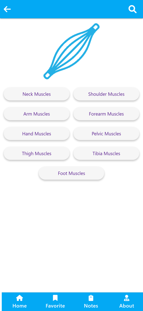 Physiotherapy Learning - Menü mit Muskelgruppenkategorien in der Physiotherapie-Lern-App