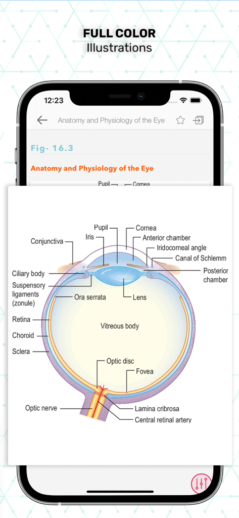 Ilustração médica colorida da anatomia do olho humano com rótulos do aplicativo Essentials Clinical Medicine