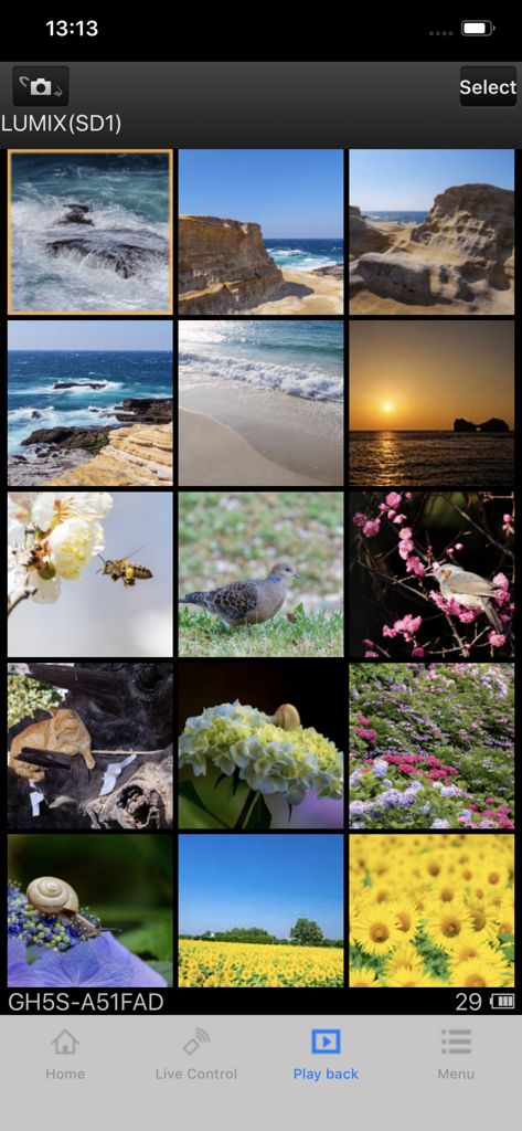 Écran de smartphone affichant une grille de photos de nature et de paysages de haute qualité dans le menu de lecture de l'application Panasonic Image App