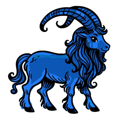 capricorn zodiac