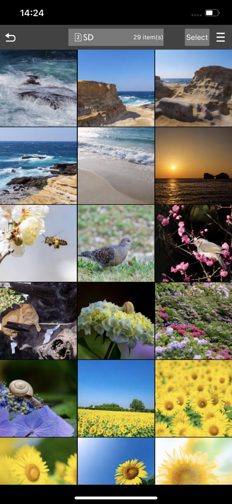 Panasonic LUMIX Sync - Una pantalla de smartphone que muestra la galería de medios de la aplicación Panasonic LUMIX Sync con fotos de naturaleza y viajes de alta calidad