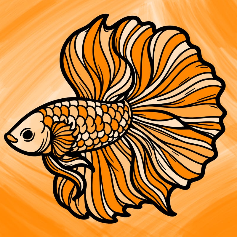 betta fish