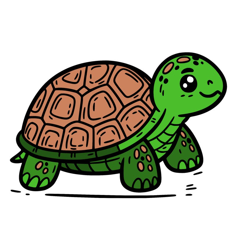 turtle