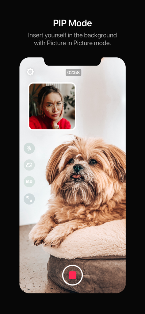 Dual Camera Split Videos: Revo - Dual camera app showing PIP mode with a reaction window over a video of a dog