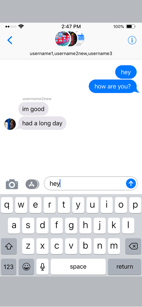 A screenshot of the MeMi Message app interface showing a simulated group chat with blue and grey text bubbles mimicking iMessage