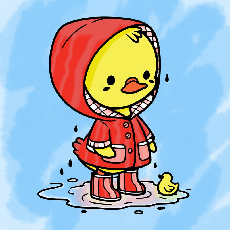 baby duck in a rain coat and boots, in a puddle while it’s raining