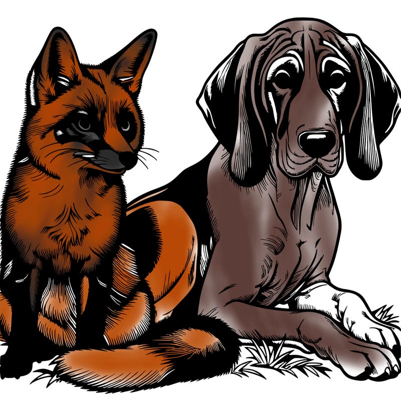 realistic fox and hound