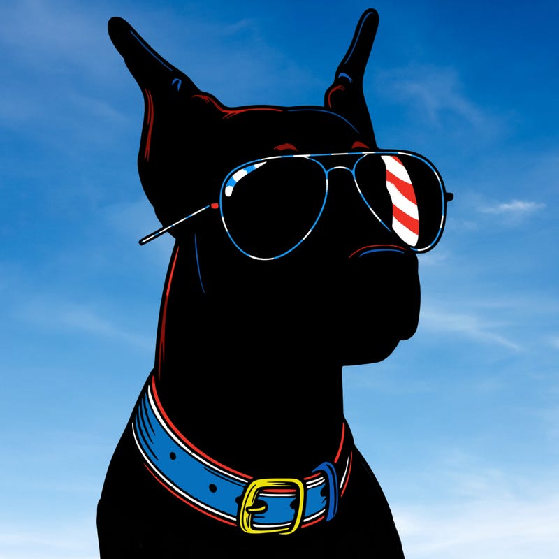 a realistic doberman pinsher with aviator glasses on