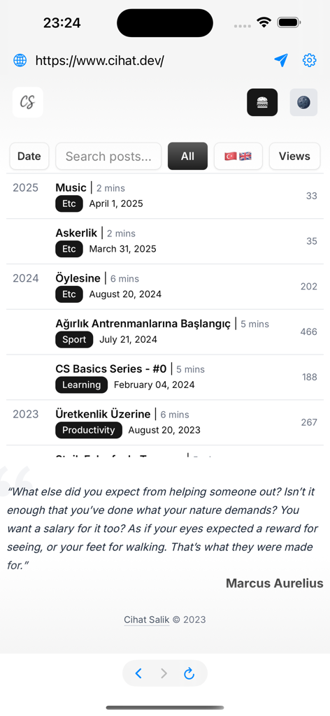 WebView Inspector - WebView Inspector interface displaying a website in a native iOS WKWebView for developer debugging.