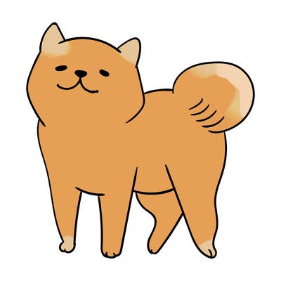 animals_29