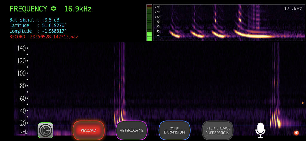 Bat Detector - Technical interface of the Bat Detector app showing a live spectrogram display of ultrasonic bat calls with frequency and GPS data.