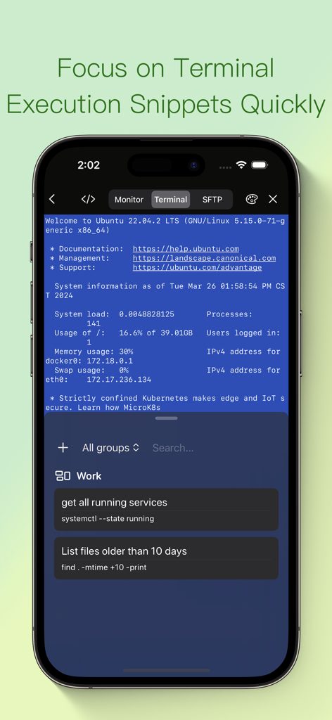 iPhone上のShellBean SSHターミナルインターフェース。Ubuntuシステム情報と実行スニペットのリストが表示されています。