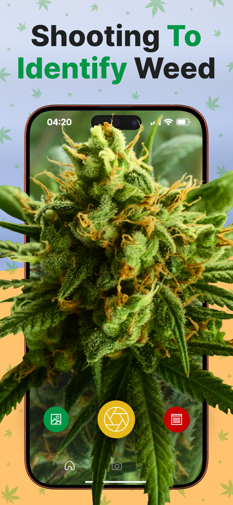 Kush Scan mobile app interface identifying a cannabis bud using a camera scanner