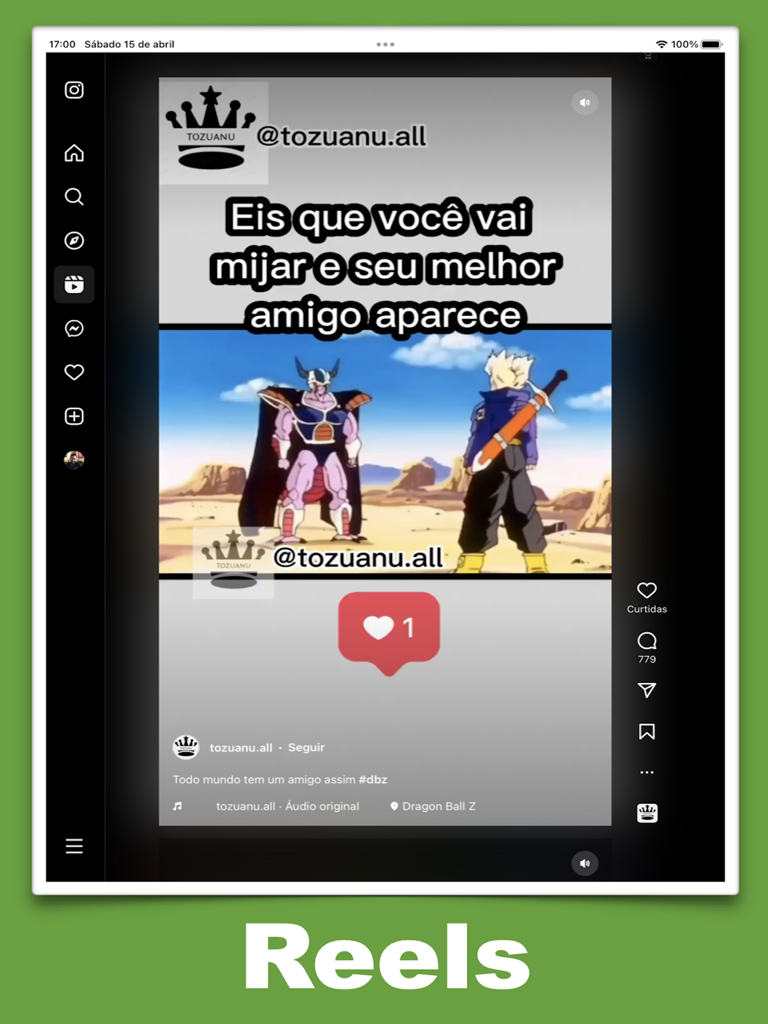 InsPad for Instagram - InsPad for Instagram 앱이 iPad 화면에 Reels 인터페이스를 표시함.