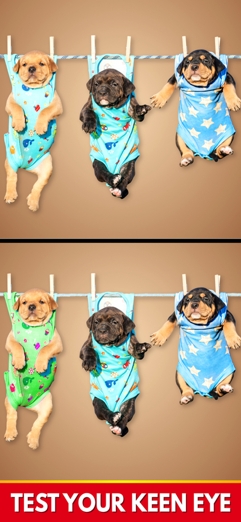 Find The Differences: Spot It - Un nivel de juego para encontrar las diferencias que muestra dos imágenes similares de tres cachorros con pijamas colgados en un tendedero.