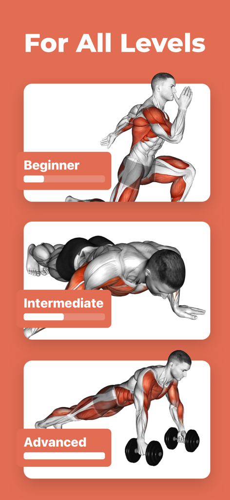 Comparison of beginner intermediate and advanced workout levels with anatomical muscle group highlights