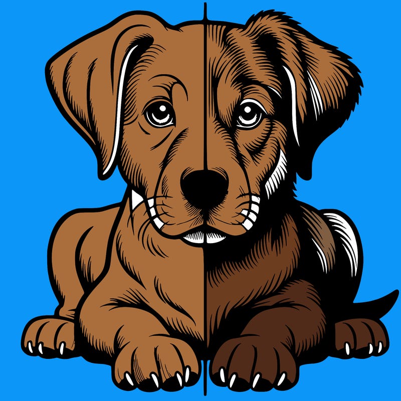 realistic dog split picture