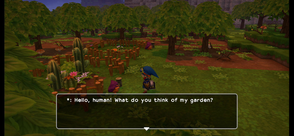 DRAGON QUEST BUILDERS - A character interacts with an NPC in a lush garden within the Dragon Quest Builders game.