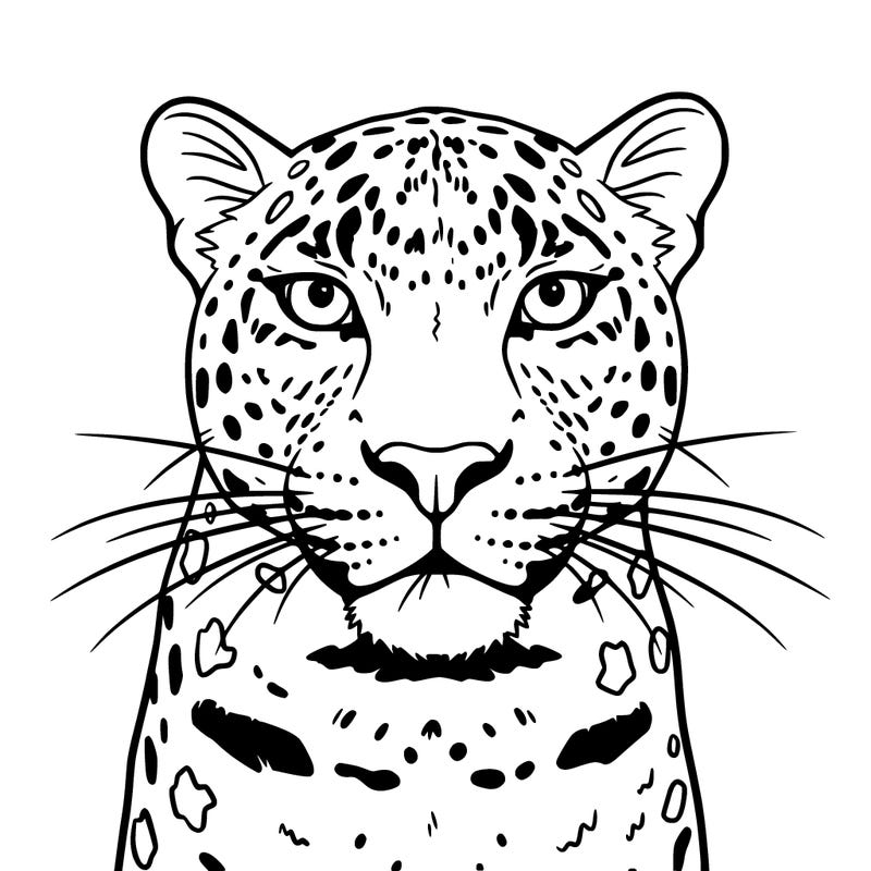 leopard up close simple no open lines