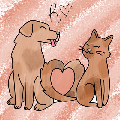 animals_22