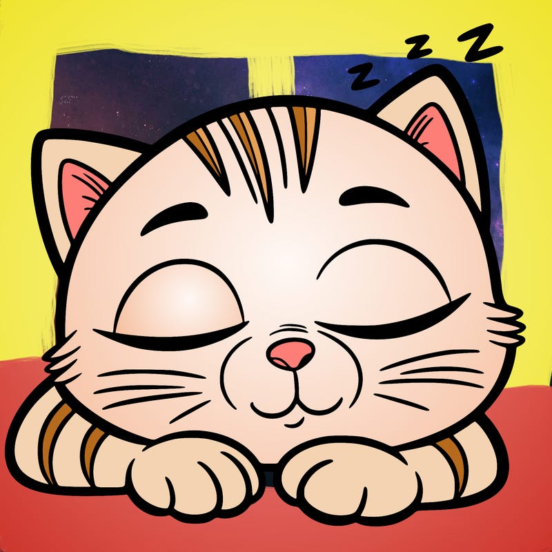 sleepy cat