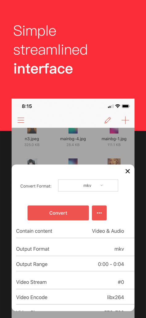 iConv - Video & PDF Converter - iConvモバイルアプリのインターフェースに、MKVファイルの動画変換設定が表示されている