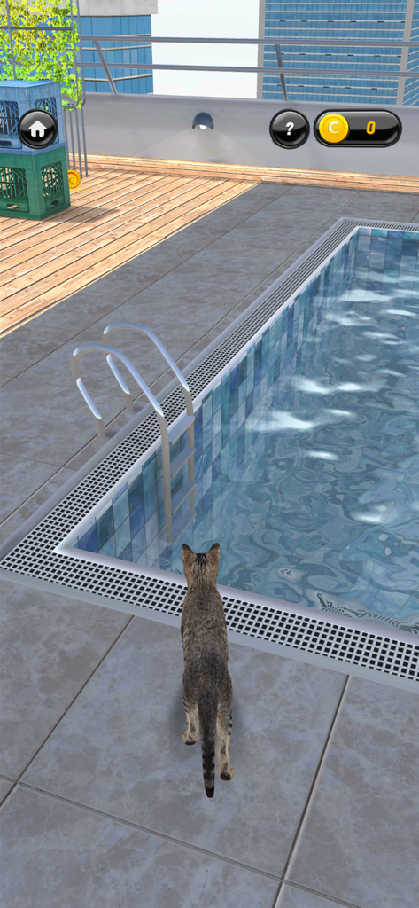 My Kitten (Cat Simulator) - A virtual tabby kitten walking near a swimming pool on a rooftop terrace.