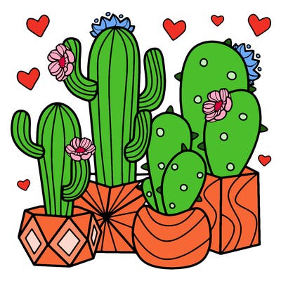 flowers_24_new
