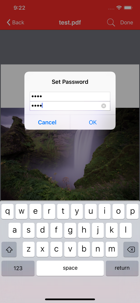 Interfaccia di Power PDF Pro che mostra una finestra di dialogo di protezione con password sopra un documento PDF