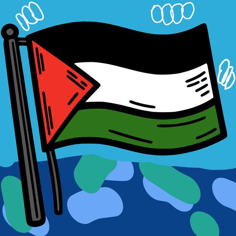 palestine flag