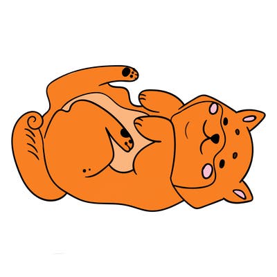 animals_30
