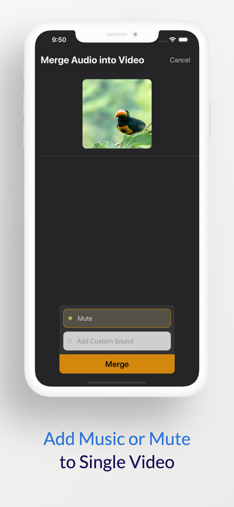 Merge Video Files - Interfaz de usuario de la aplicación mostrando opciones para silenciar un video o agregar música personalizada antes de unir.