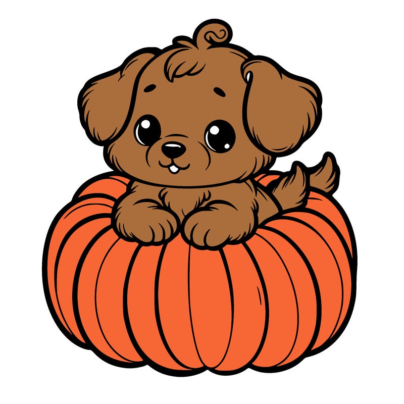 cute little puppy in a pumpkin