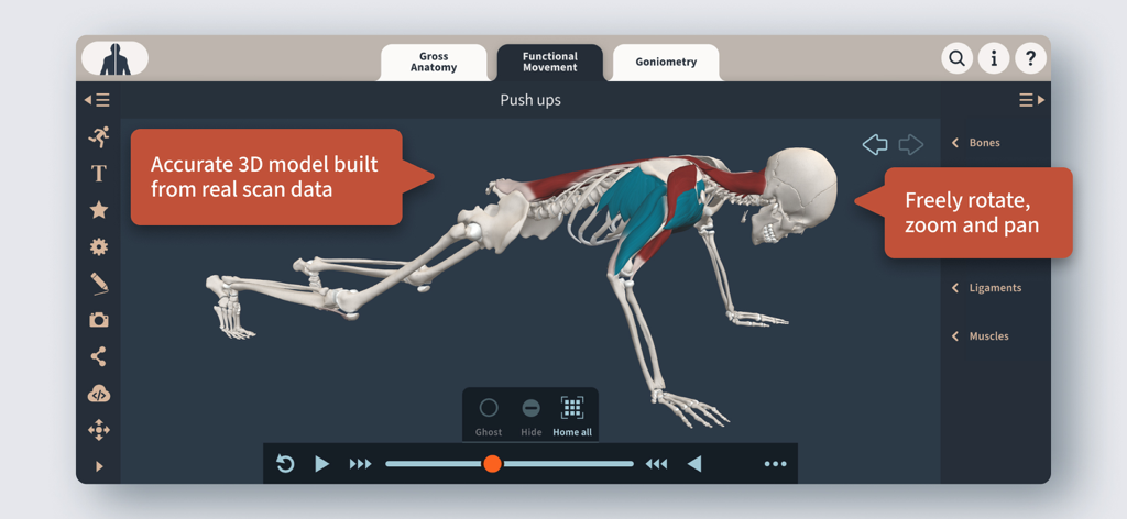 Primal's 3D Functional Anatomy - Interactive 3D anatomical model showing muscles and bones during a push up exercise