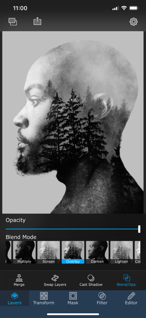 A mobile app interface showing a double exposure effect with forest trees overlaid on a man's side profile.