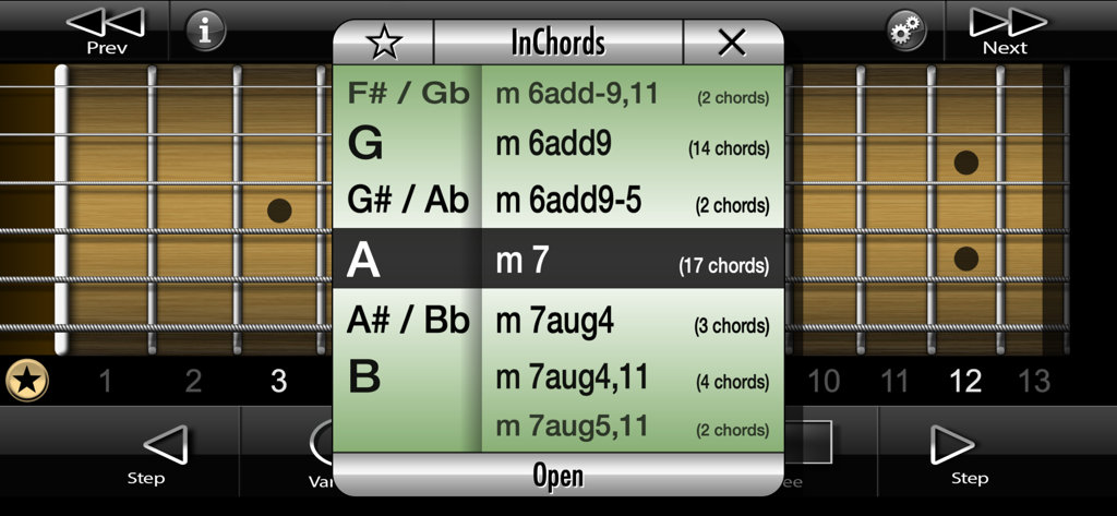 International Guitar Chords | Ultimate Pocket Library & Transposer