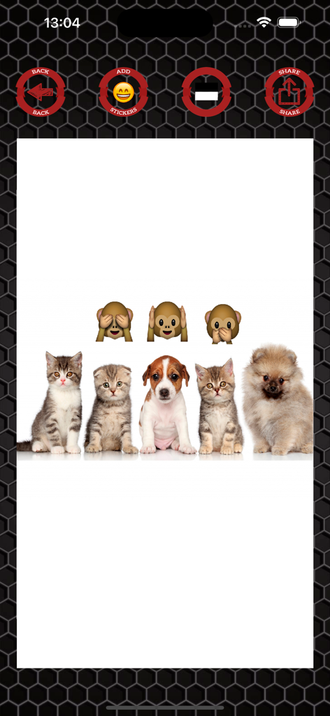 Emoji stickers to photos - mobile app interface showing monkey emoji stickers placed over a photo of kittens and puppies