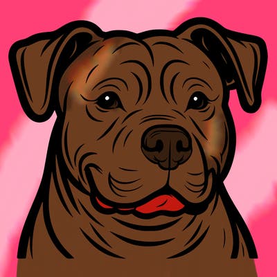 pitbull