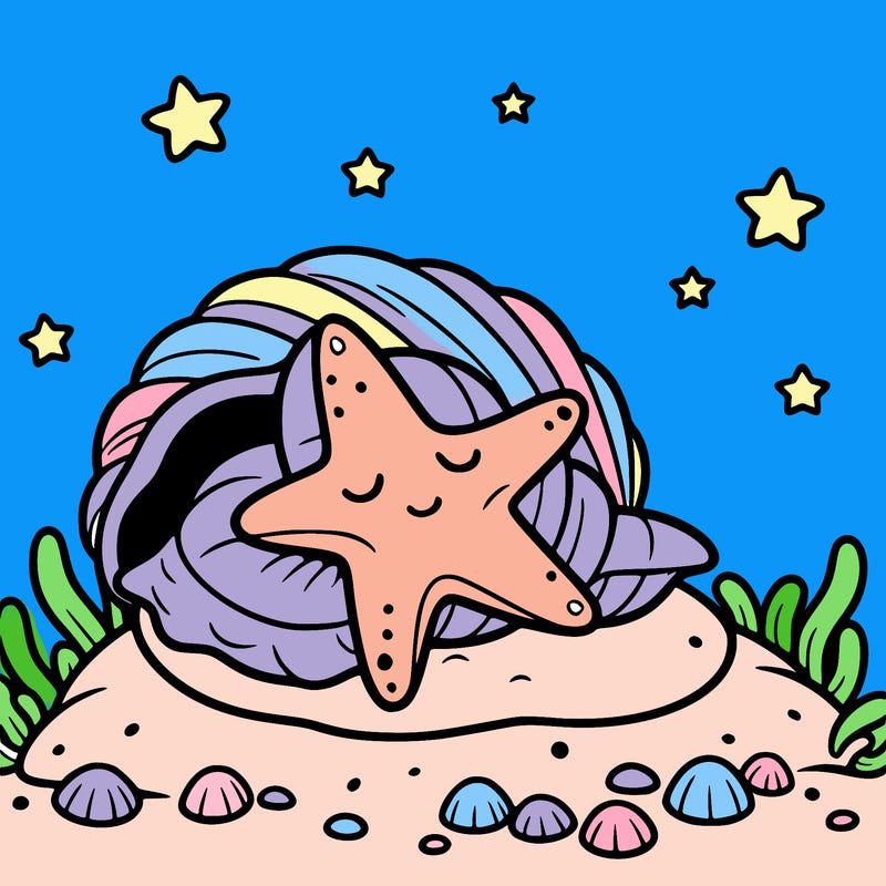 starfish sleeping in a seashell bed