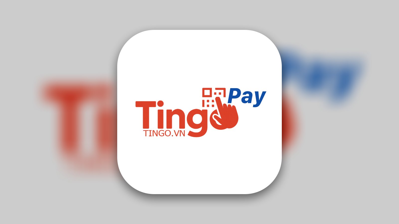 Tingo Pay - Business App | MWM