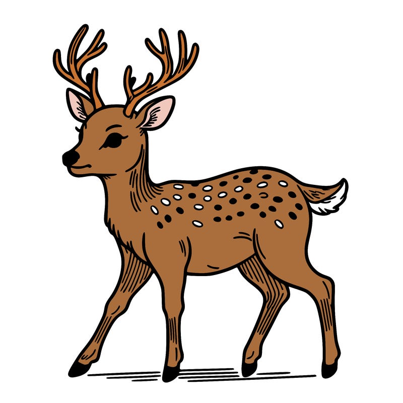 deer