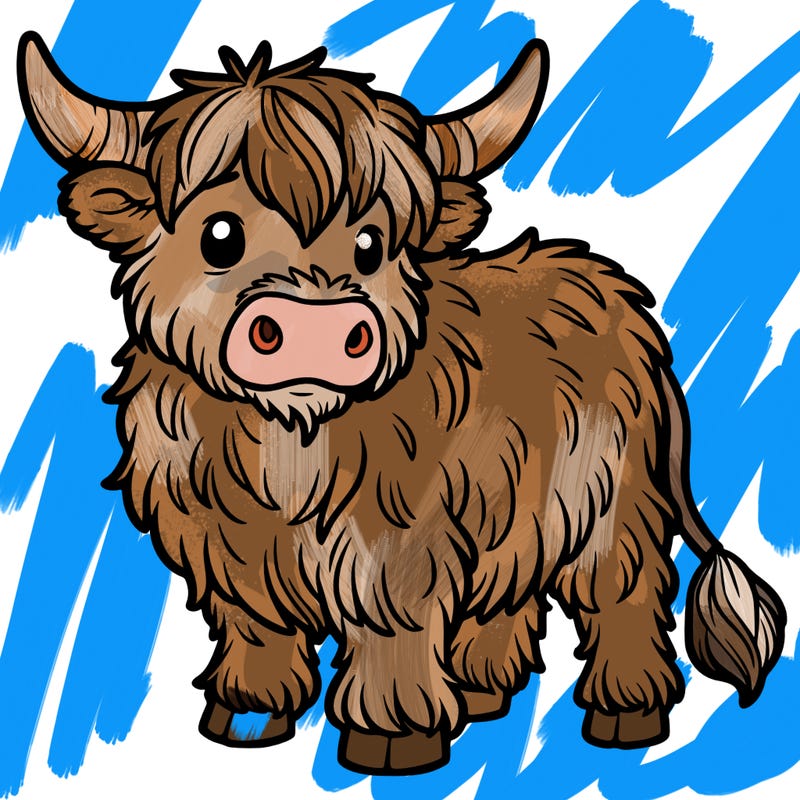 highland cow