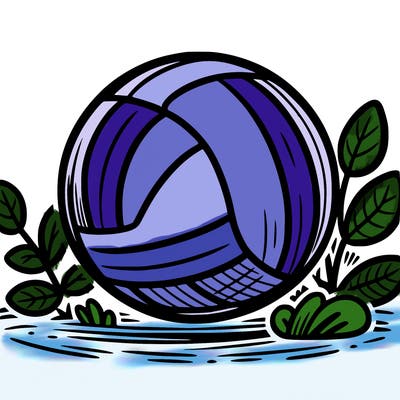 volleyball