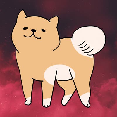 animals_29