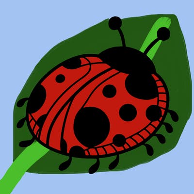 ladybug