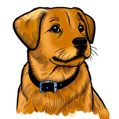 dog realistic