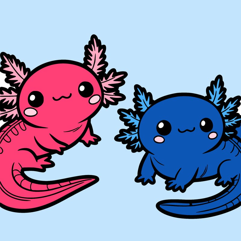 cute axolotls