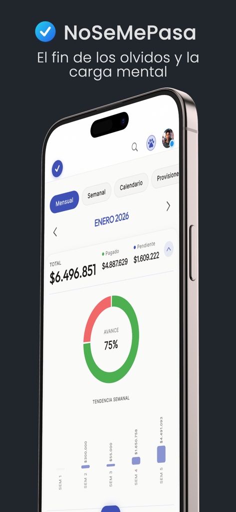 NoSeMePasa: Planeador de Pagos - NoSeMePasa App-Oberfläche zeigt eine monatliche Zahlungübersicht mit einem Fortschrittsring und Finanzdiagrammen